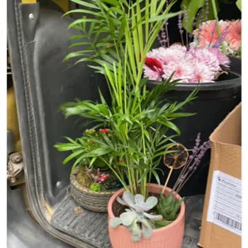 Yanıltıcı Ürün Görselleri Ve İletişim Sorunları