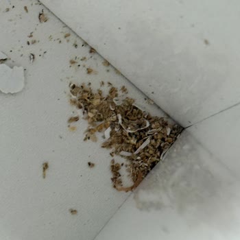 Mosspa Beauty Teslimat Sorunu