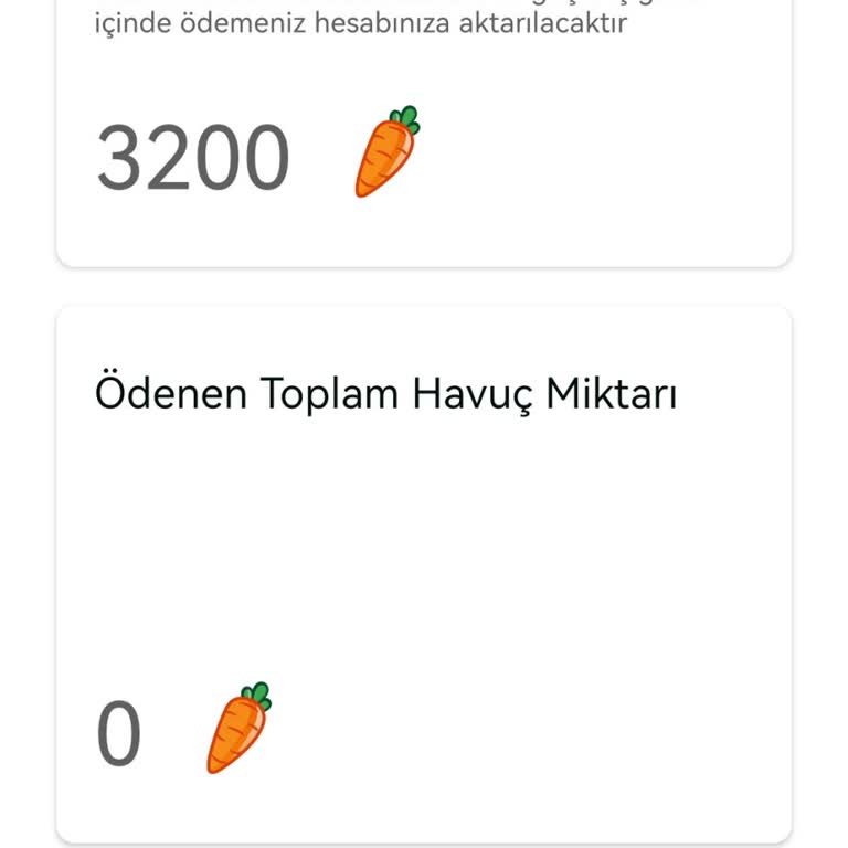 Havucum Ödeme Gecikmesi Ve İletişim Eksikliği!