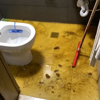 Dükkanımızda Süregelen Tuvalet Gideri Sorunu Ve İlgisizlik