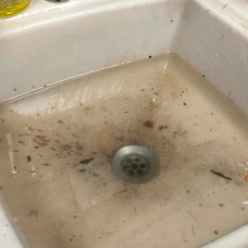 Dükkanımızda Süregelen Tuvalet Gideri Sorunu Ve İlgisizlik