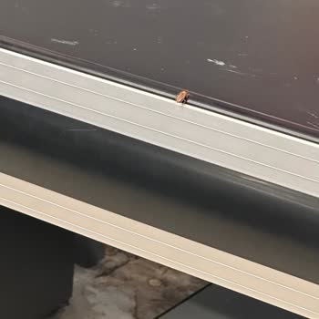 A101 Esenyurt Şubesi'nde Temizlik Ve Düzen Sorunları!