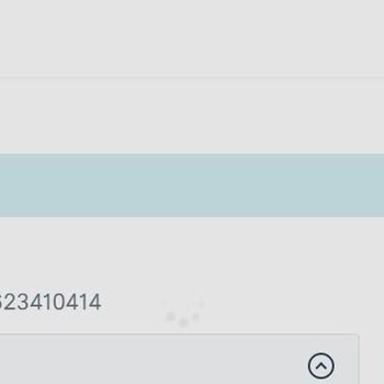 VFS Global Litvanya Randevu Sistemi Çıkmazı