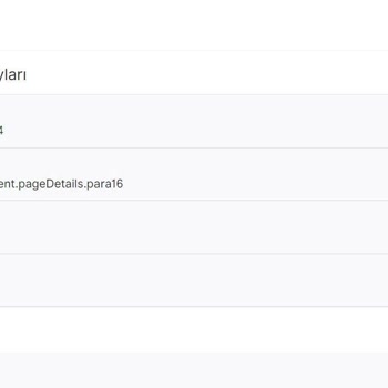 VFS Global Litvanya Randevu Sistemi Çıkmazı