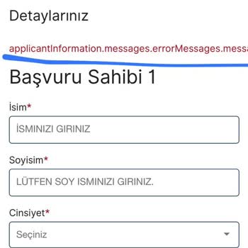 VFS Global Litvanya Randevu Sistemi Çıkmazı