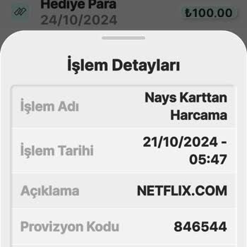 Nays Ve Netflix Arasında Kalan Ödeme Sorunu