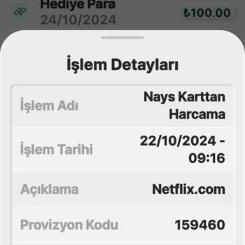 Nays Ve Netflix Arasında Kalan Ödeme Sorunu