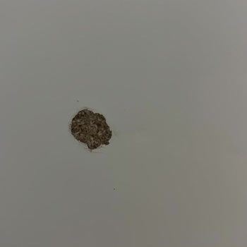 Defolu Bebek Odası Ve Kötü Hizmet