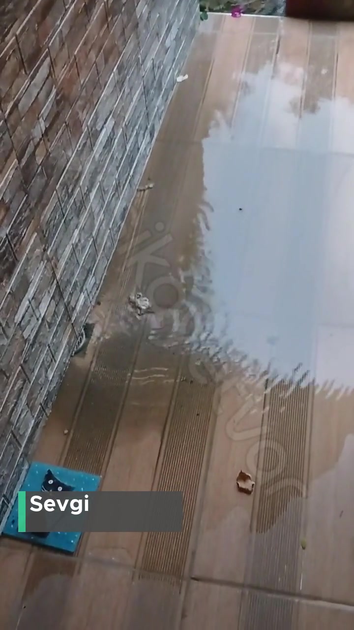 BUSKİ Gemlik İşini Yapmıyor videonun kapak resmi