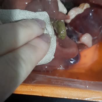 Bupiliç Tavuk Ciğerinde Sağlık Tehdit Eden İhmal