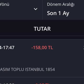 Online Bilet Alımında Bekleme Sorunu Ve Mağduriyet