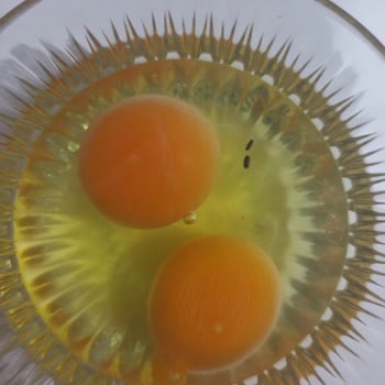 Organik Yumurta Skandalı: Sağlığımız Tehlikede!