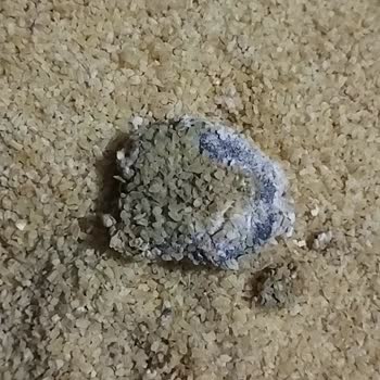 A101'den Aldığım Üründe Beklenmedik Yabancı Madde!