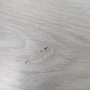 Vestel Buzdolabı Arızası Ve Servis Sorunları