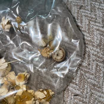 Hoşgeldin Bebek Çantasında Şok: Çaydan Salyangoz Çıktı