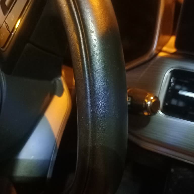 Chery Direksiyon Simidi Soyulması Ve İlgisizlik Sorunu