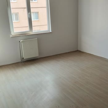 Marshall Boya Renk Fiyaskosu: Beklenenin Çok Ötesinde