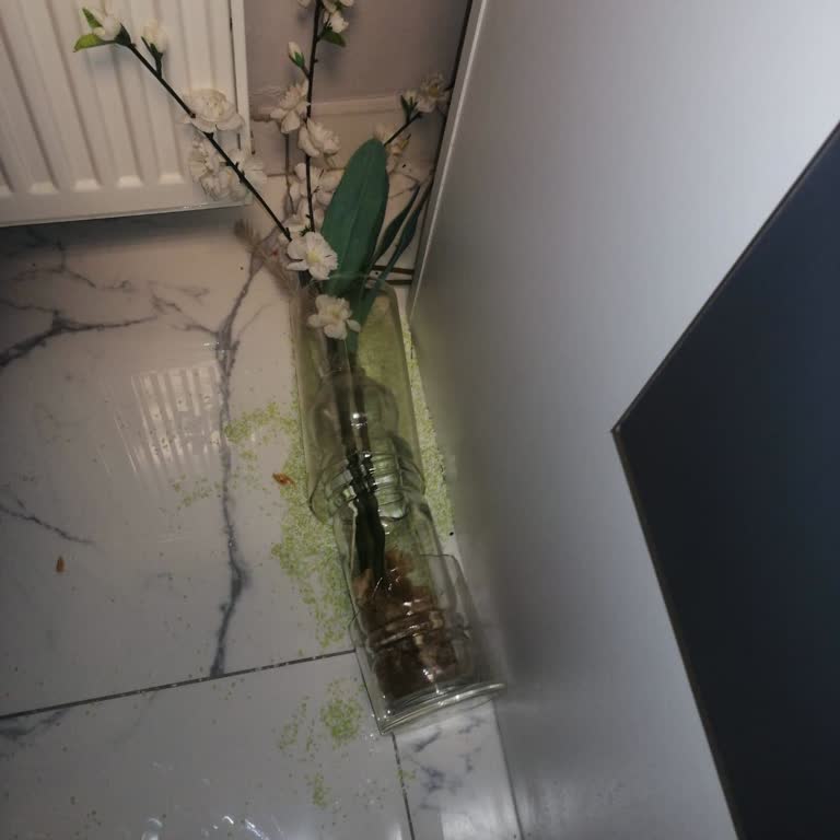 Hermosa Wellness İşletmede Kırılan Vazo İçin İstenilen Fahiş Ücret