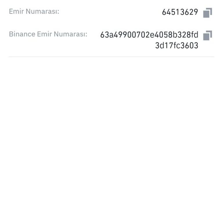 Binance Türkiye'de Güvenlik Sorunu Ve Para Kaybı