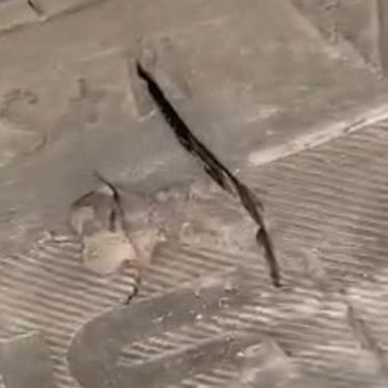 Nokian Kış Lastiğinde Beklenmedik Çatlaklar