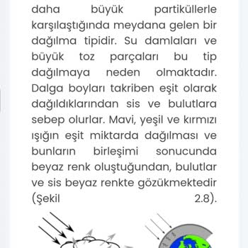 Yanlış Cevap Anahtarı Mağduriyeti: Puan Kaybı Ve İtiraz Süreci