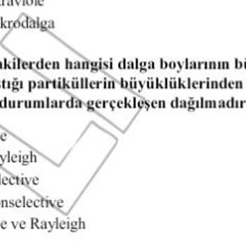 Yanlış Cevap Anahtarı Mağduriyeti: Puan Kaybı Ve İtiraz Süreci