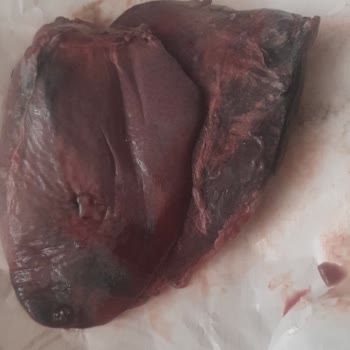 Migros'tan Aldığım Ürün Sağlığımızı Tehdit Ediyor