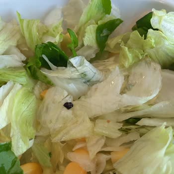 Hijyen Skandalı: Çorba İçinde Cam Ve Böcekli Salatalar!