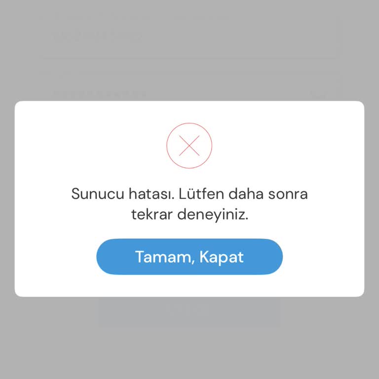 Milli Piyango Uygulaması Yılbaşı Öncesi Erişim Sorunu