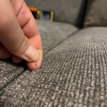 Tiftiklenen Kumaş Ve Kırılan Sandık Kapağı Sorunu