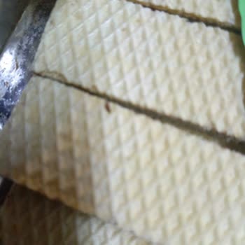 Hoşbeş Paketi İçinden Çıkan Canlı Böcekler