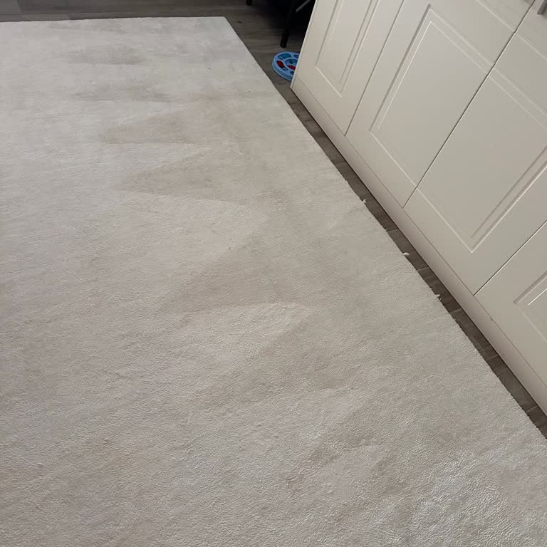 İnci Halı Yıkama'nın Sorumsuz Hizmeti