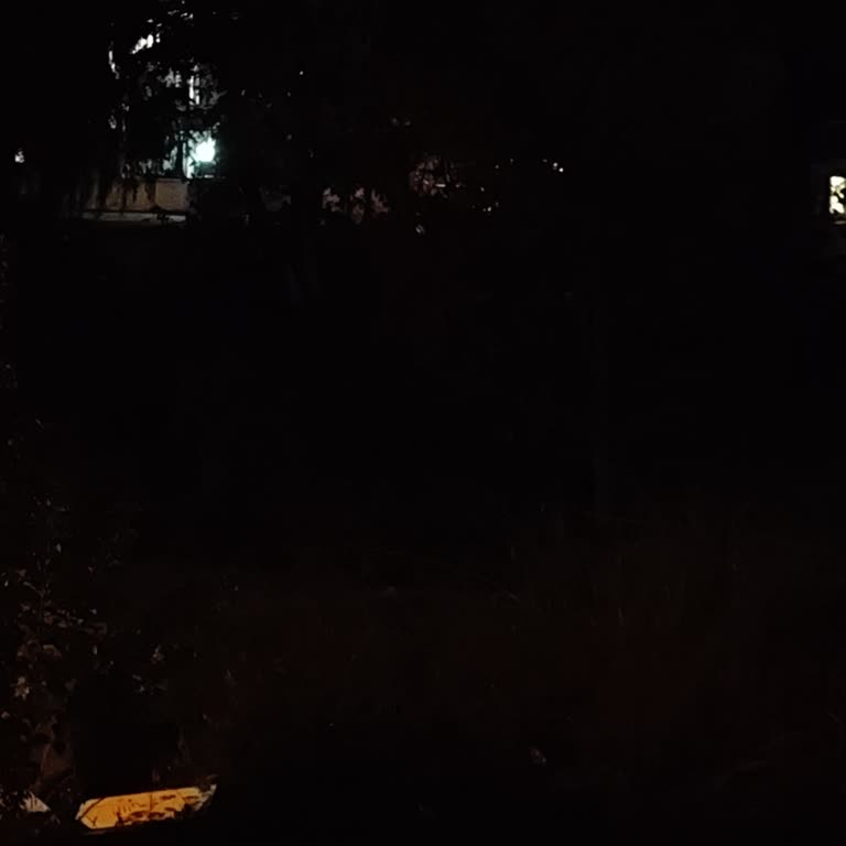 Sakarya'da Elektrik Kesintisi Sorunu