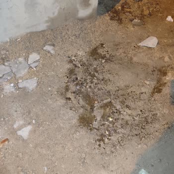 Doğalgaz Çalışması Sırasında Su Gideri Hasarı Ve Yetersiz Tamirat