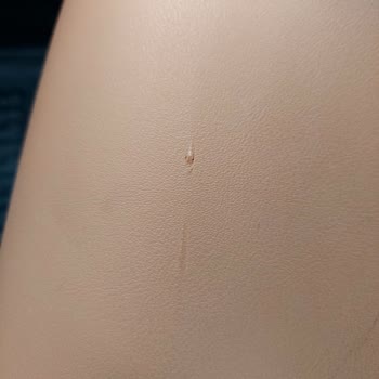 Chery Tiggo 8 Pro'da Üretim Hatası Ve Garanti Sorunu