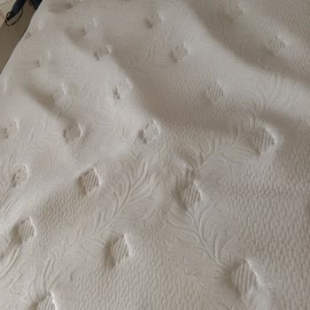 Evdiz Arnavutköy Şubesi'nde Süregelen Sorunlar Ve İlgisizlik