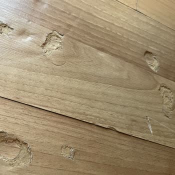 Evmoda'dan Aldığım Koltuk Takımı Hayal Kırıklığı Yarattı: Garanti Ve Müşteri Hizmetleri Sorunu