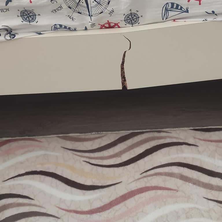 Diyarbakır'da Mobilya Mağazasında Yaşanan Müşteri Hizmetleri Sorunları