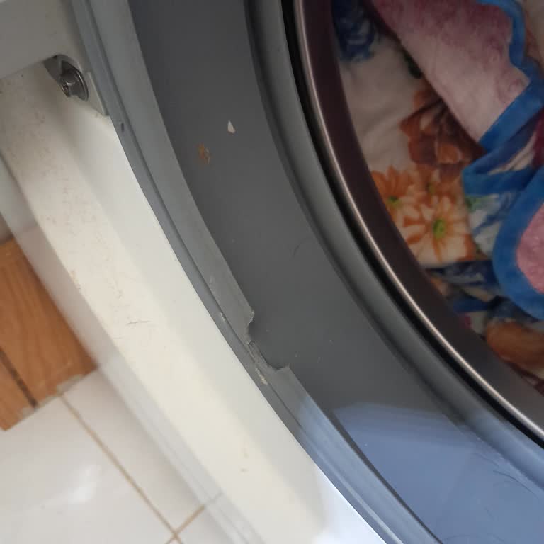 Samsung Çamaşır Makinesi Hayal Kırıklığı