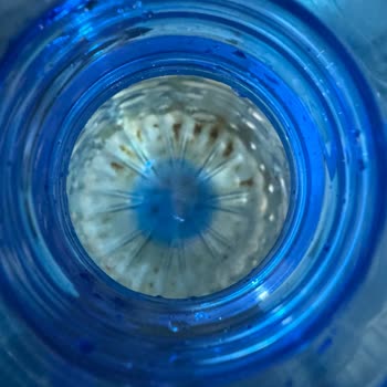 Kumsu Su Markasının Sağlık Tehdit Eden Kalitesi