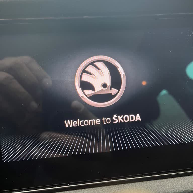 Экран мультимедиа Skoda Kodiaq 2019 застревает на приветствии