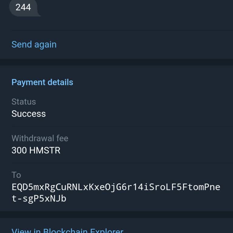 Binance Ve Telegram Arasında Kaybolan Tokenler