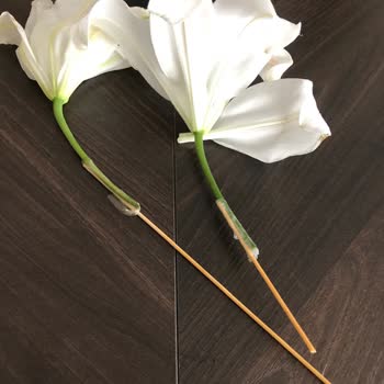 Özensiz Çiçek Tasarımı Müşteri Memnuniyetini Düşürüyor