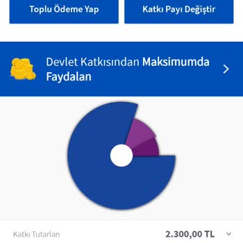 Agesa Hayat Emeklilik Sözleşmesi: Bilgilendirme Eksikliği Ve Aidat Kesintileri