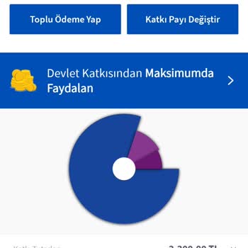 Agesa Hayat Emeklilik Sözleşmesi: Bilgilendirme Eksikliği Ve Aidat Kesintileri