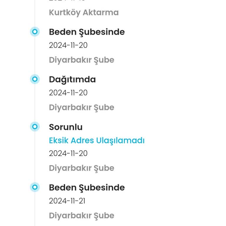 Kargo Kabusu: Teslim Edilemeyen Ürün