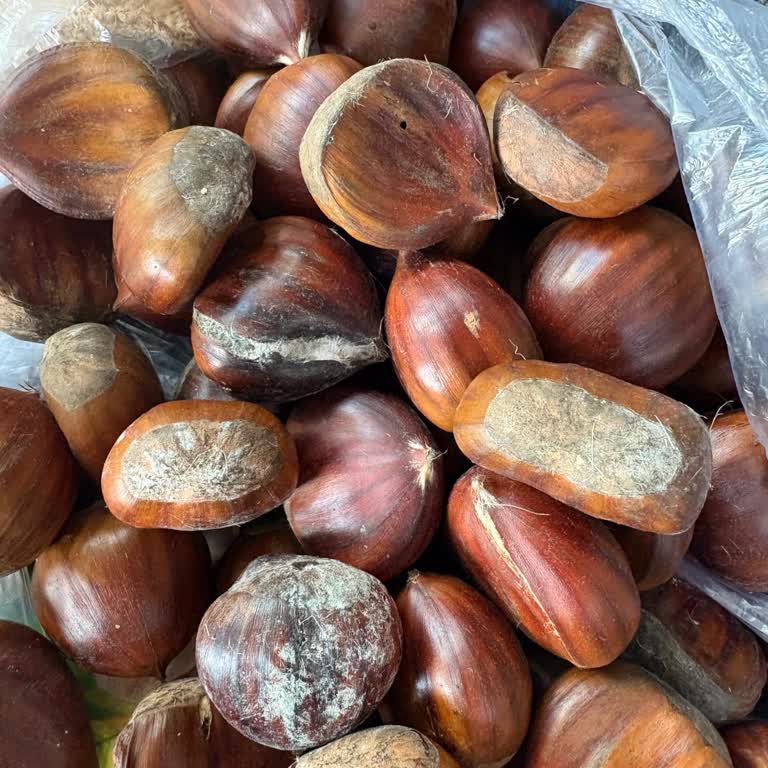 Küflü Kestaneler Ve Yetersiz Müşteri Hizmeti