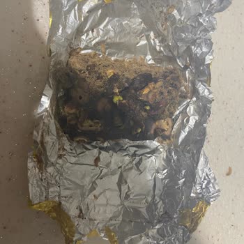 Kurtlu Çikolata Ve İlgisiz Müşteri Hizmetleri