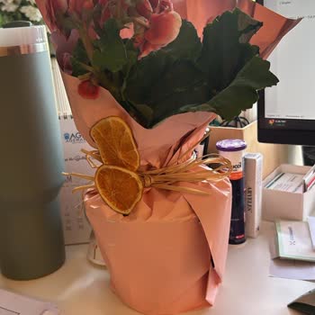 Geç Teslimat Ve Yanlış Ürün: Hayal Kırıklığı Yaratan Çiçek Siparişi