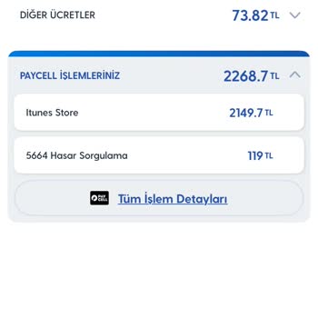 Çifte Faturalandırma Sorunu Ve Çözüm Arayışı